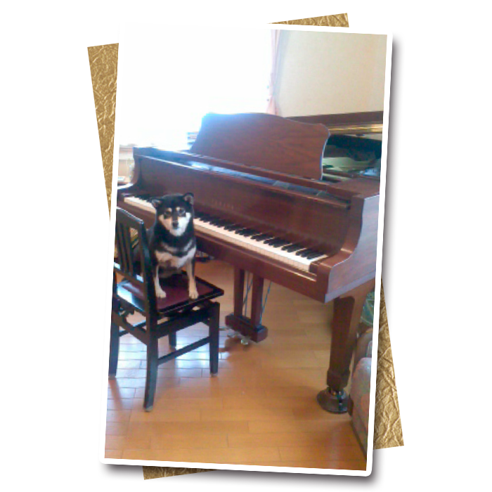 「グランドピアノに決めて良かった」
