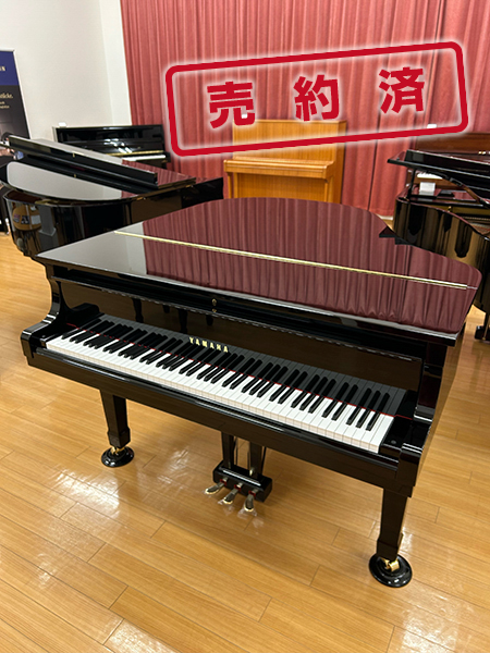 YAMAHA G1B