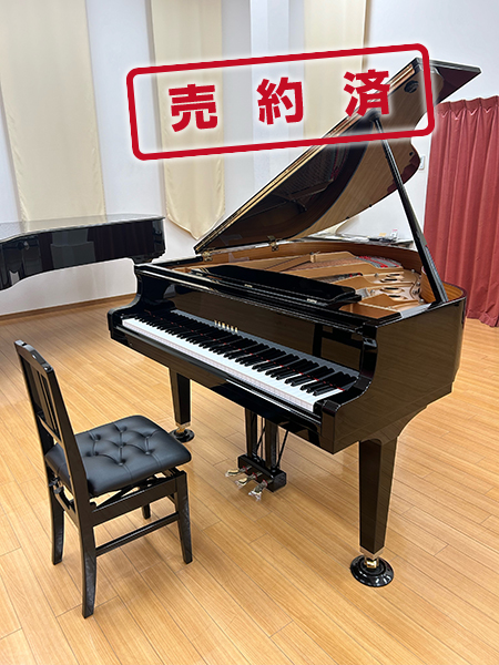 YAMAHA A1R