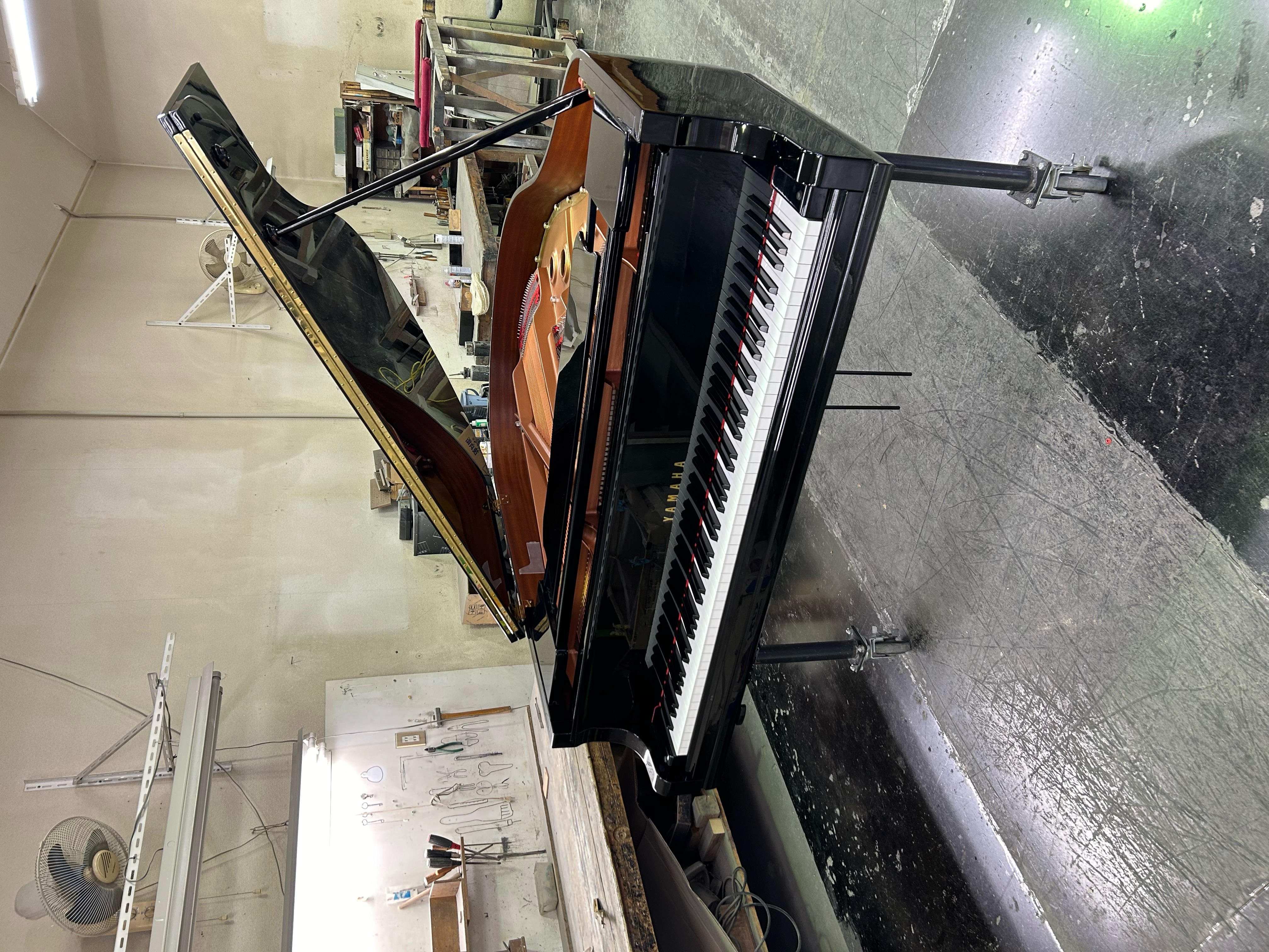 YAMAHA GC1SN